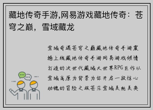 藏地传奇手游,网易游戏藏地传奇：苍穹之巅，雪域藏龙